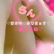 ヒメ日記 2025/09/15 13:22 投稿 ラン 煌-kirameki-