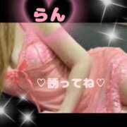 ヒメ日記 2025/09/19 14:06 投稿 ラン 煌-kirameki-