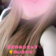 ヒメ日記 2025/09/23 18:16 投稿 ラン 煌-kirameki-