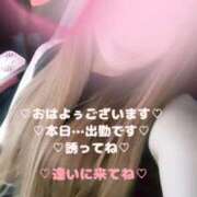 ヒメ日記 2025/09/25 11:57 投稿 ラン 煌-kirameki-