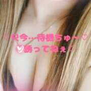 ヒメ日記 2025/09/26 15:28 投稿 ラン 煌-kirameki-