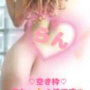 ヒメ日記 2025/10/11 17:54 投稿 ラン 煌-kirameki-