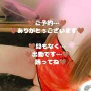 ヒメ日記 2025/10/29 13:27 投稿 ラン 煌-kirameki-