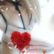 ヒメ日記 2025/11/01 03:21 投稿 ラン 煌-kirameki-