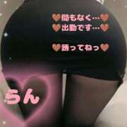 ヒメ日記 2025/11/06 15:07 投稿 ラン 煌-kirameki-