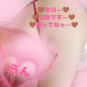 ヒメ日記 2025/11/10 15:07 投稿 ラン 煌-kirameki-