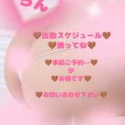 ヒメ日記 2025/11/23 15:24 投稿 ラン 煌-kirameki-