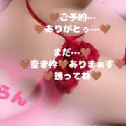 ヒメ日記 2025/11/29 13:12 投稿 ラン 煌-kirameki-