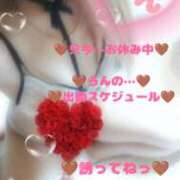 ヒメ日記 2025/12/21 12:30 投稿 ラン 煌-kirameki-