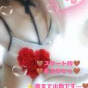 ヒメ日記 2025/12/24 15:50 投稿 ラン 煌-kirameki-