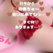 ヒメ日記 2025/12/29 15:50 投稿 ラン 煌-kirameki-