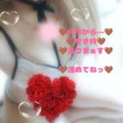 ヒメ日記 2025/12/30 15:20 投稿 ラン 煌-kirameki-