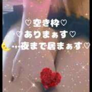 ヒメ日記 2026/01/05 15:55 投稿 ラン 煌-kirameki-