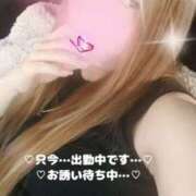 ヒメ日記 2026/01/11 13:23 投稿 ラン 煌-kirameki-