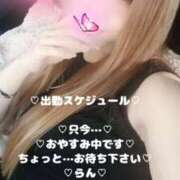 ヒメ日記 2026/01/18 13:36 投稿 ラン 煌-kirameki-