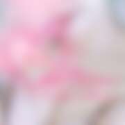 ヒメ日記 2026/01/21 13:11 投稿 ラン 煌-kirameki-