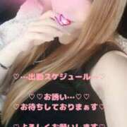 ヒメ日記 2026/01/23 14:59 投稿 ラン 煌-kirameki-