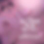 ヒメ日記 2026/01/26 15:05 投稿 ラン 煌-kirameki-