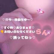 ヒメ日記 2026/01/28 18:44 投稿 ラン 煌-kirameki-