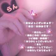 ヒメ日記 2026/01/29 09:16 投稿 ラン 煌-kirameki-