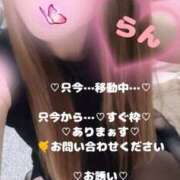 ヒメ日記 2026/02/01 16:14 投稿 ラン 煌-kirameki-