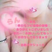 ヒメ日記 2026/02/02 12:40 投稿 ラン 煌-kirameki-