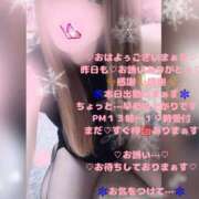 ヒメ日記 2026/02/08 11:13 投稿 ラン 煌-kirameki-