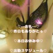 ヒメ日記 2026/02/09 10:49 投稿 ラン 煌-kirameki-