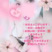 ヒメ日記 2026/02/11 10:50 投稿 ラン 煌-kirameki-