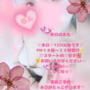 ヒメ日記 2026/02/12 13:16 投稿 ラン 煌-kirameki-