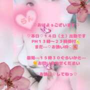 ヒメ日記 2026/02/14 11:45 投稿 ラン 煌-kirameki-