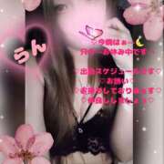 ヒメ日記 2026/02/18 18:52 投稿 ラン 煌-kirameki-