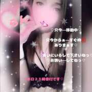 ヒメ日記 2026/02/21 20:16 投稿 ラン 煌-kirameki-