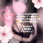 ヒメ日記 2026/02/22 10:38 投稿 ラン 煌-kirameki-