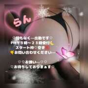 ヒメ日記 2026/02/22 11:54 投稿 ラン 煌-kirameki-