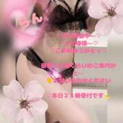 ヒメ日記 2026/02/22 14:14 投稿 ラン 煌-kirameki-