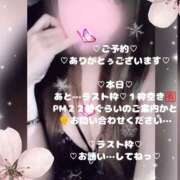 ヒメ日記 2026/02/22 19:15 投稿 ラン 煌-kirameki-