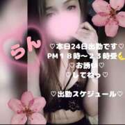 ヒメ日記 2026/02/24 12:53 投稿 ラン 煌-kirameki-