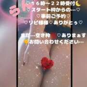 ヒメ日記 2026/02/25 10:47 投稿 ラン 煌-kirameki-