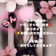 ヒメ日記 2026/02/25 18:42 投稿 ラン 煌-kirameki-