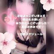 ヒメ日記 2026/02/26 11:16 投稿 ラン 煌-kirameki-