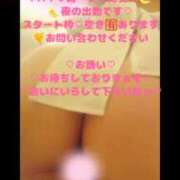 ヒメ日記 2026/02/27 16:03 投稿 ラン 煌-kirameki-