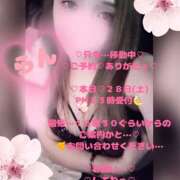 ヒメ日記 2026/02/28 14:02 投稿 ラン 煌-kirameki-