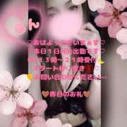 ヒメ日記 2026/03/01 11:33 投稿 ラン 煌-kirameki-