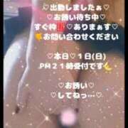 ヒメ日記 2026/03/01 13:27 投稿 ラン 煌-kirameki-