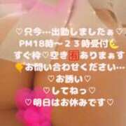 ヒメ日記 2026/03/02 18:33 投稿 ラン 煌-kirameki-