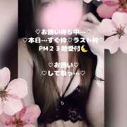 ヒメ日記 2026/03/02 21:36 投稿 ラン 煌-kirameki-