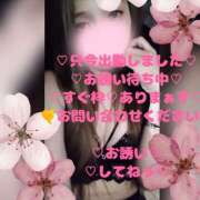 ヒメ日記 2026/03/04 16:27 投稿 ラン 煌-kirameki-