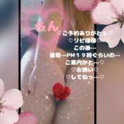 ヒメ日記 2026/03/07 17:23 投稿 ラン 煌-kirameki-