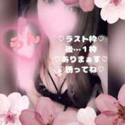 ヒメ日記 2026/03/07 21:15 投稿 ラン 煌-kirameki-